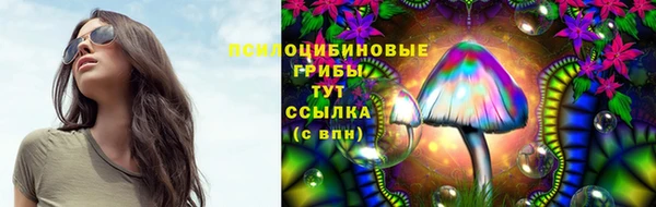 индика Белокуриха