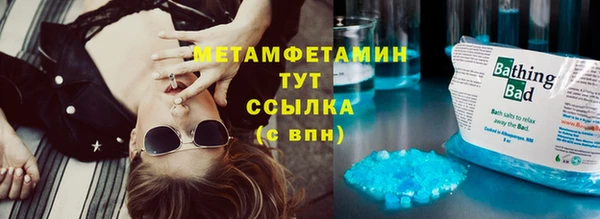 индика Белокуриха