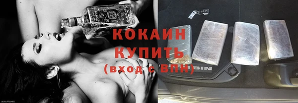 индика Белокуриха