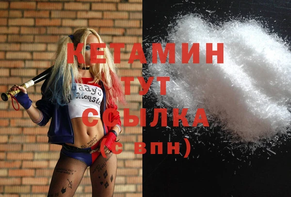 индика Белокуриха