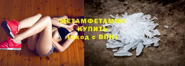 индика Белокуриха