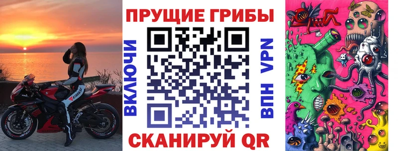ОМГ ОМГ tor хочу наркоту Отрадное Галлюциногенные грибы ЛСД